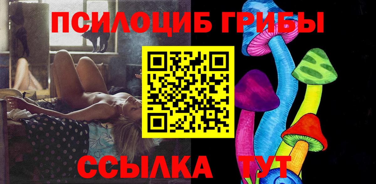 Псилоцибиновые грибы Cubensis Дмитров