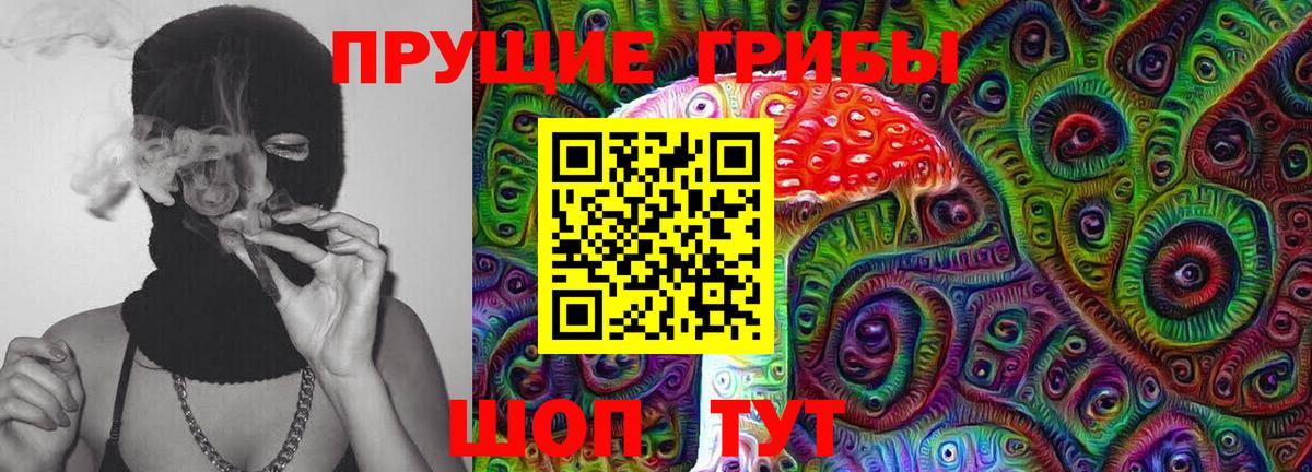 Псилоцибиновые грибы MAGIC MUSHROOMS  Псилоцибиновые грибы Cubensis  что такое наркотик  Дмитров  Вход с VPN 
