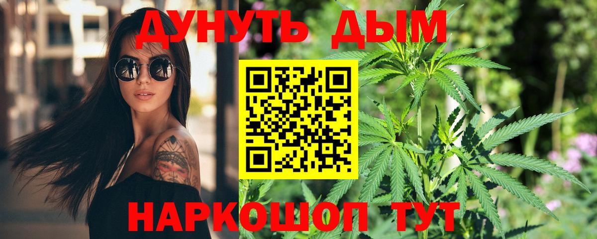 МАРИХУАНА сатива Дмитров